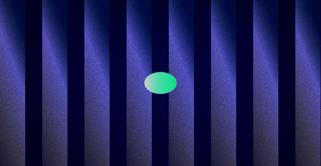 4 piece Peace + Palm Trees